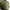 Robe Noor vert olive